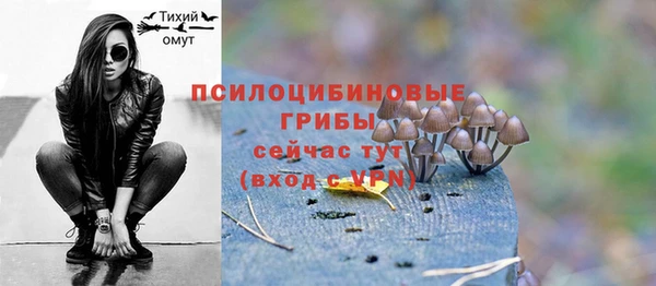 таблы Богородицк