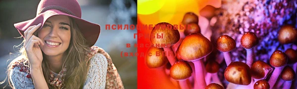 таблы Богородицк