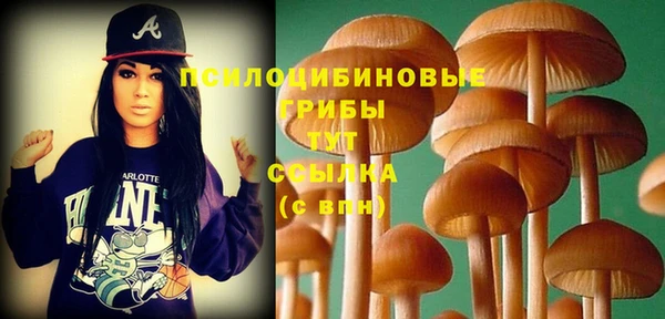 стафф Ступино